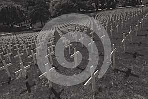 Black and white image of white crosses in a field