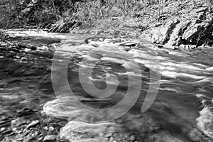 Black and White Image of a Wild Trout Stream