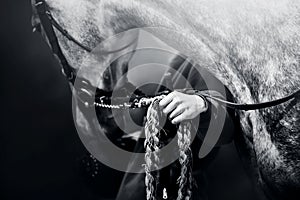 A black-white image of a woman standing next to a dappled gray horse and holding it by lead rope. Equestrian sports and horse