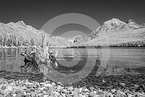 Black and white infra red landscape of Glacier National Park