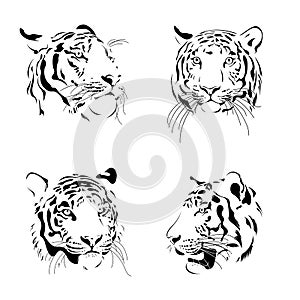 Black and white ink draw tiger head