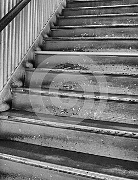 Black and white interior stairway