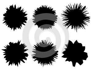 Black and white isolated set of six shapes. Of abstract virus and bacteria. photo