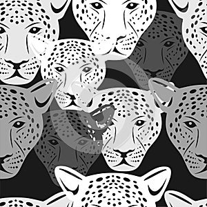 Black And White Jaguar Face Pattern Seamless