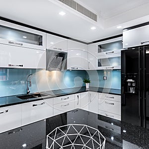 Black and white kitchen interior