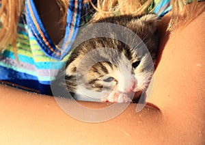 Black and white kittie on arm