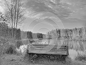 Black & white lake bench