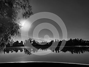 Black and white in the lake