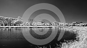 Black and white of lake in Surabaya