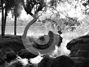 Black and white landscape