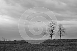 Black and White Landscape