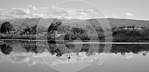 Black and white landscape from Maspalomas