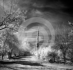 Black and white landscape photography and infrared