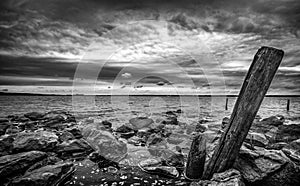 A black and white landscape scenery by the lakeside