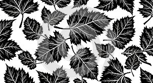 Black and White Leaf Pattern - Vector Illustration