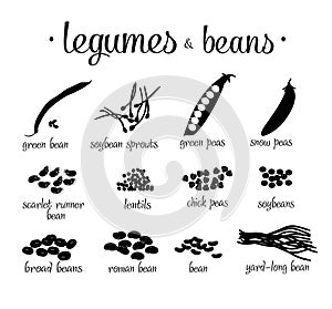 Black and white legumes beans vector set