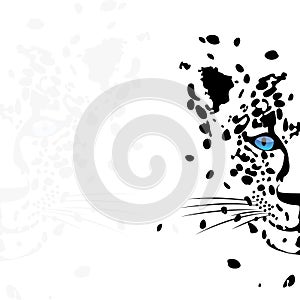 Black and white leopard head smile vector snow leopard irbis