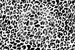 Black and white leopard skin pattern