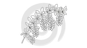 A black and white line drawing