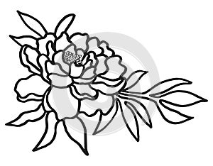 Black and white line drawing of peony flower for coloring page