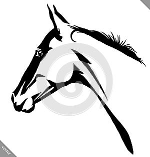 Black and white linear paint draw horse vector illustration