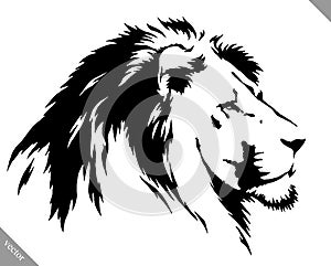 Black and white linear paint draw lion vector illustration