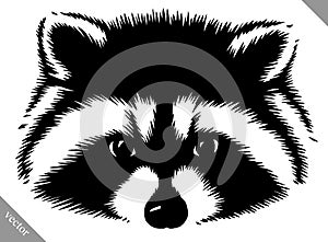 Black and white linear paint draw raccoon vector illustration