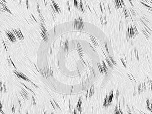 Black white long fur photo
