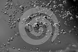 Black and White macro photography of icy water