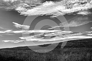 Black and white meadow with clouds on the sky in horizon