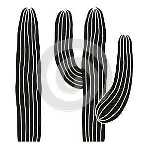 Black and white mexican cactus silhouette.