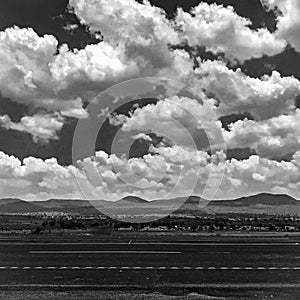 Black and white in the lake