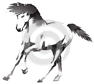 Black and white monochrome painting with water and ink draw horse illustration