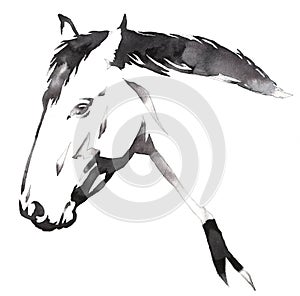 Black and white monochrome painting with water and ink draw horse illustration