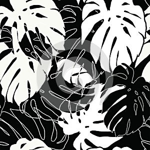 Black and white monstera seamless pattern. Tropical leaves pattern