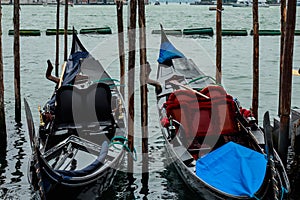 Black and white moored gondola boats