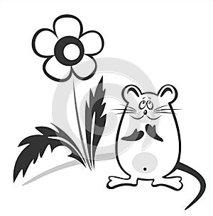 Black-and-white mouse