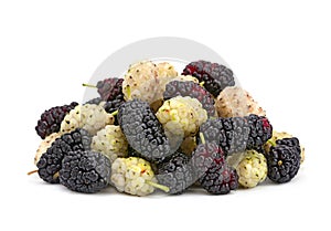 Black and white mulberry