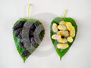 Black and white Mulberry fruit with leaf on white background