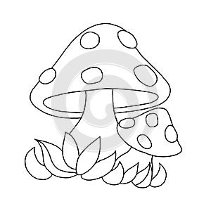 Black and white - Mushrooms photo