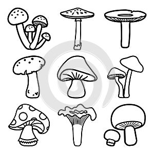 Black and white mushrooms set. Different cartoon mushrooms. Vector illustration