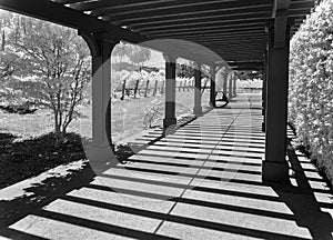 Napa Valley Winery, black and white