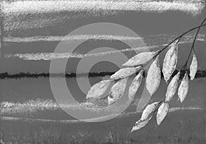 Black and white Nature landscape. Twig with leaves on gray textured background.