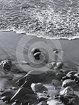 black and white ocean side view. Coconuts in sand, rocks, (Mexico