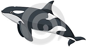 A black and white orca