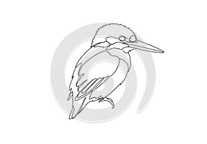 Kingfisher drawing photo