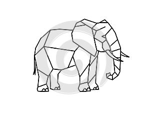Geometric elephant drawing photo