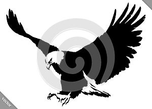 Black and white paint draw eagle bird vector illustration