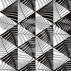 Black And White Palm Leaves And Geometric Forms Pattern Seamless