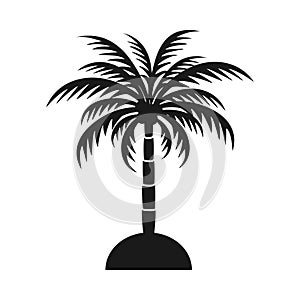 Black and white palm tree silhouette